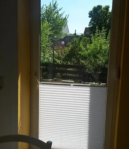 Eulennest-lu * Ludwigshafen